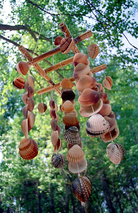 Shells